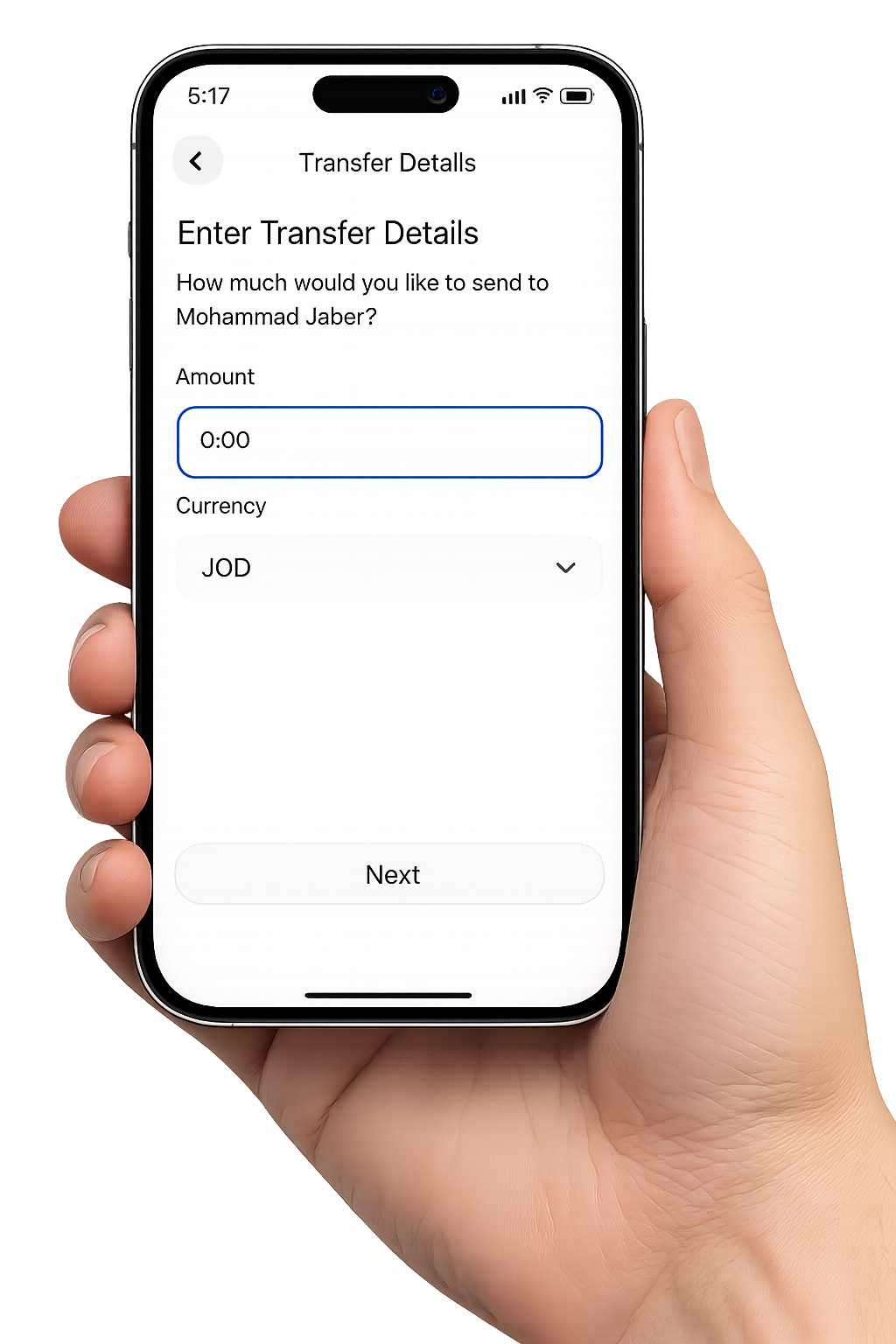 Enter amount and transfer details in the app